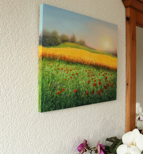 Wheat field in summer