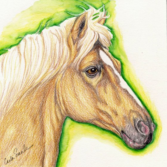 Palomino Pet Horse Art Original Drawing-Carla Smale