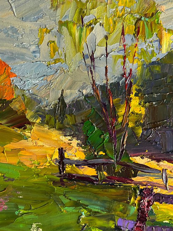 Autumn Mountain Meadows