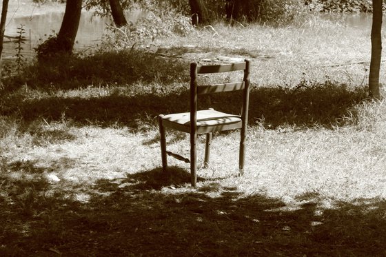 Silent Companion