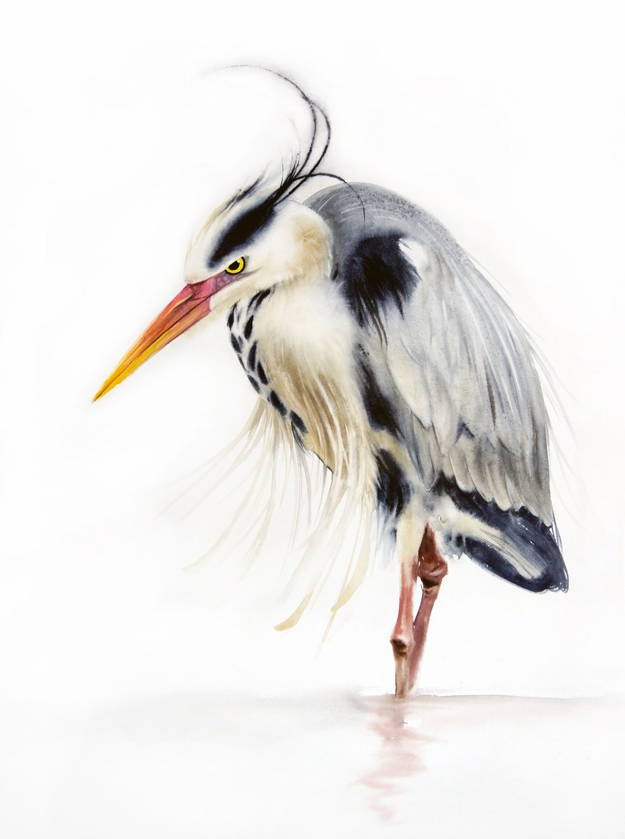 Grey heron  for Heron Preston by Olga Beliaeva Watercolour