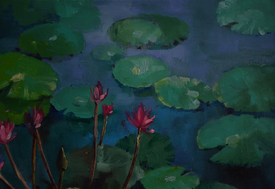 Lily pond. Equilibrium