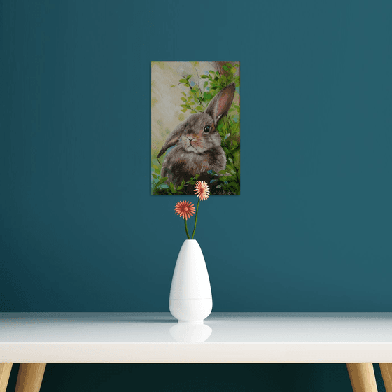 Rabbit Portrait