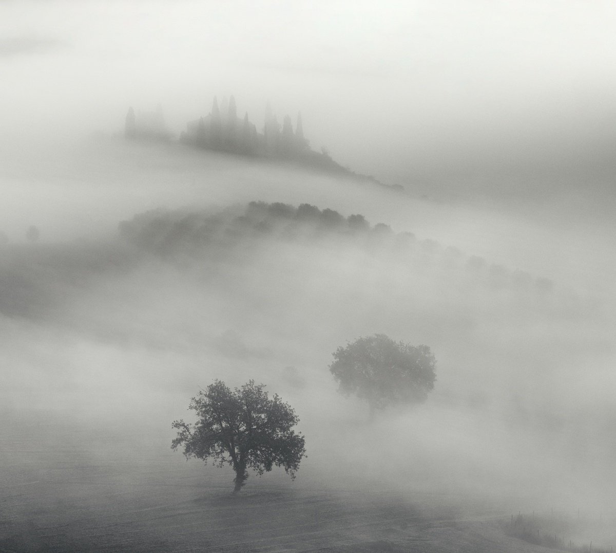 Two trees, 2021. ?Tuscany. Misty Land? collection by Pavel Oskin