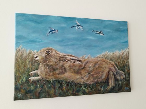 Hare and Fish