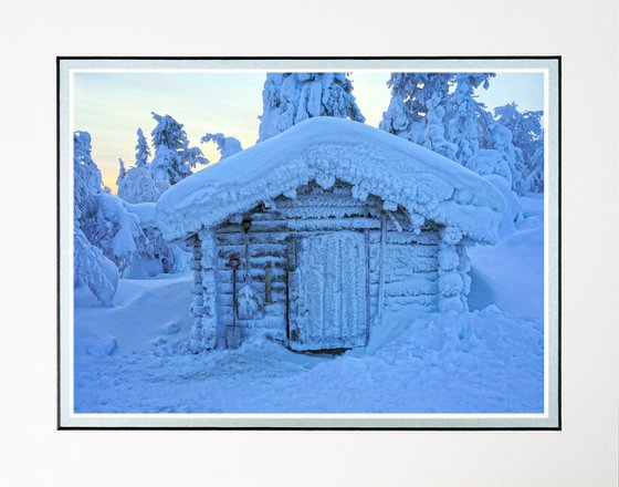Finland Snow Forest three