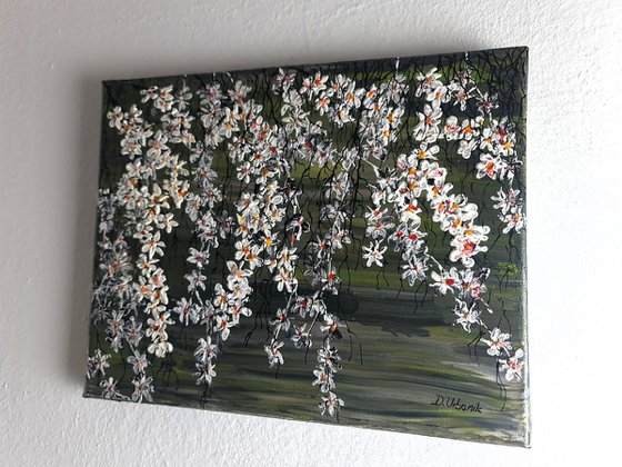 White Cherries 1