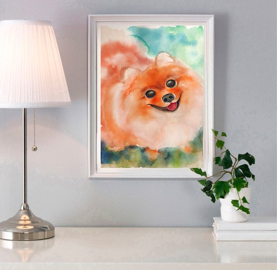 Pomeranian