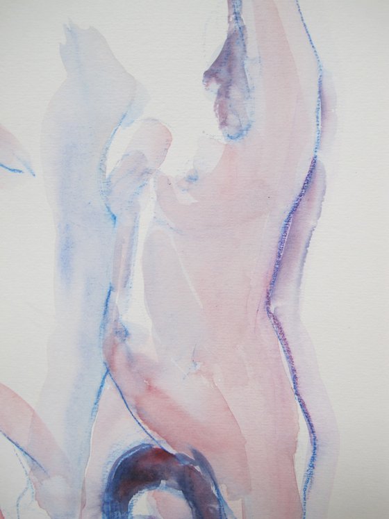 Female nude various poses