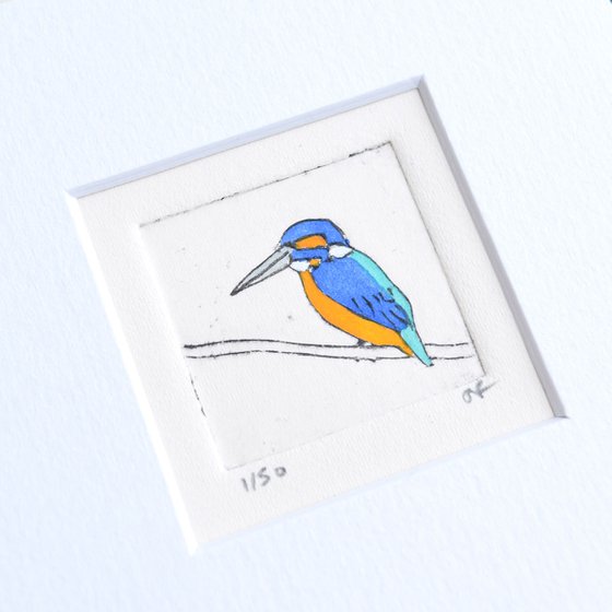 Mini framed kingfisher