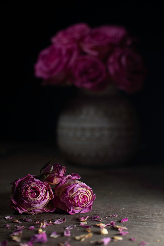 Pink Roses (Still-life) 1/20 8"X 12"