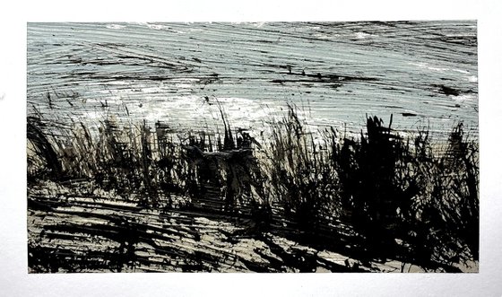 Shoreline 3