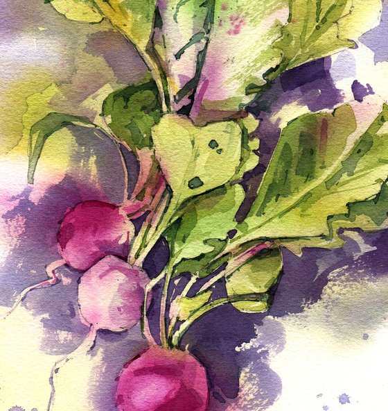 "Bunch of radishes" - Original watercolor painting