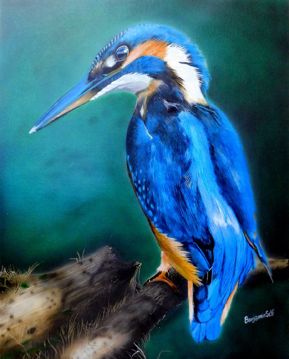 Kingfisher by Benjamin Self