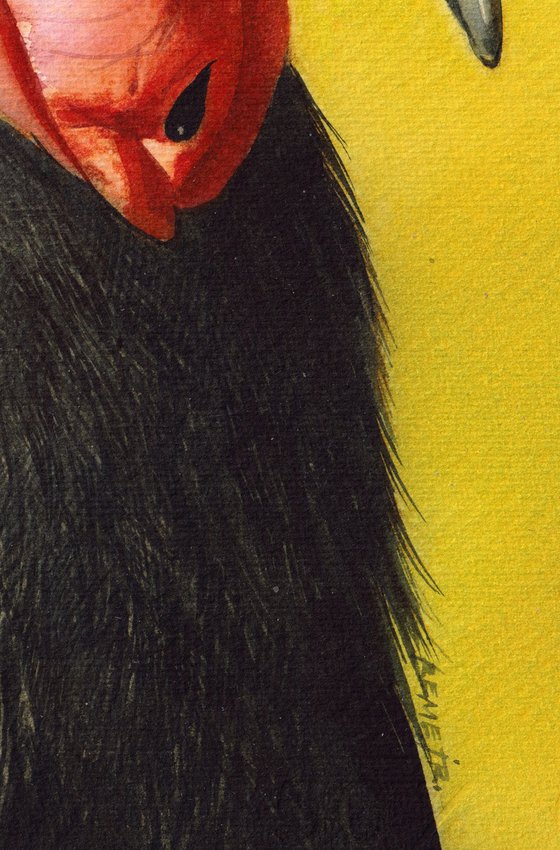 Bird CCXXXIV - Portrait