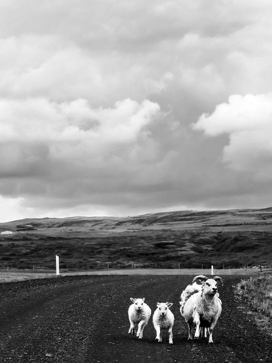 ICELAND TRAFFIC
