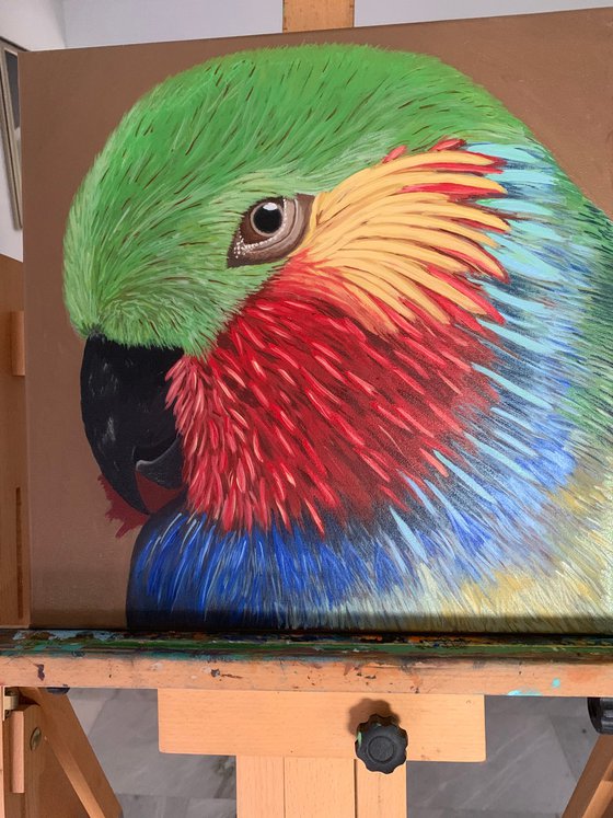 Edward's Fig Parrot