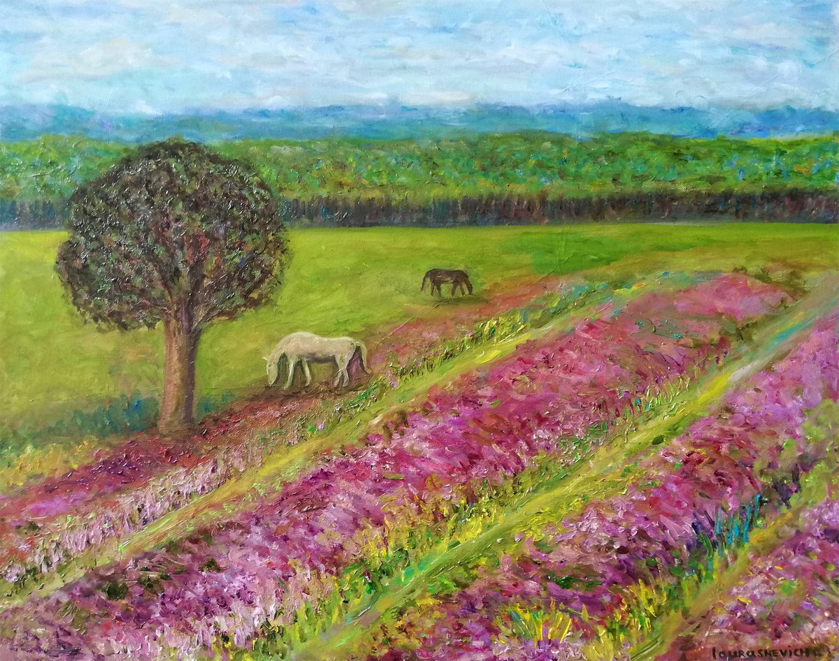 Lavender Field with Horses in Pasture - Original Oil on Canvas Painting 40x50 cm (16 by... by Katia Ricci