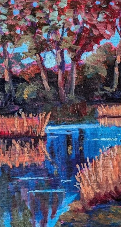 Toogood Pond by Edward  Abela