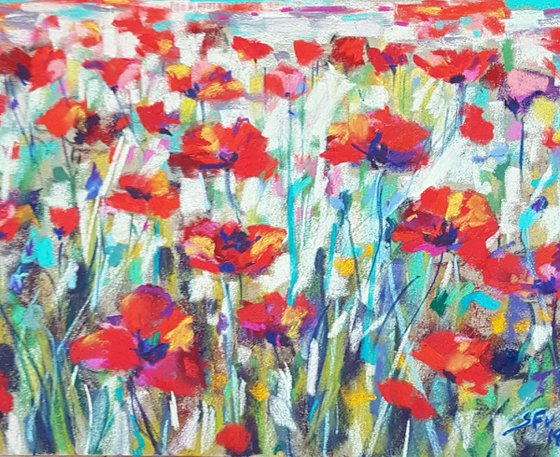 Poppy series IV