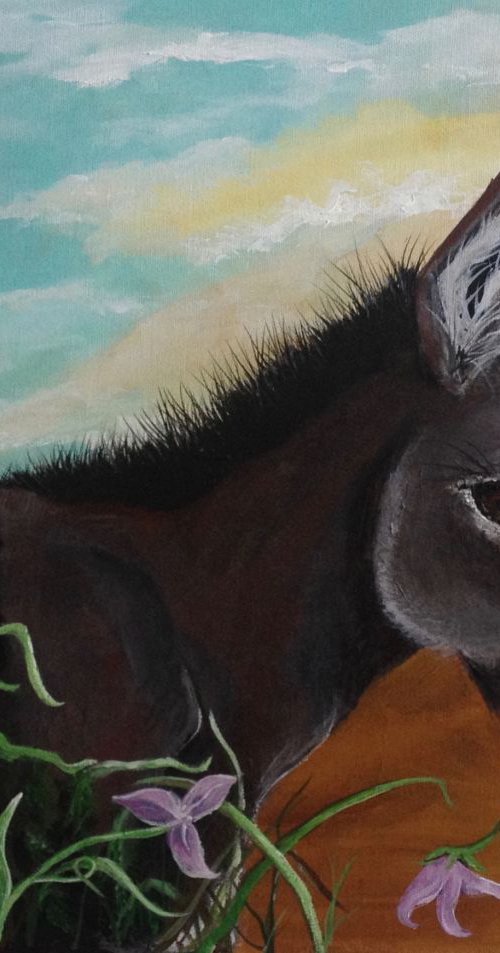 A Burro's Sweet Treat by Donna Daniels
