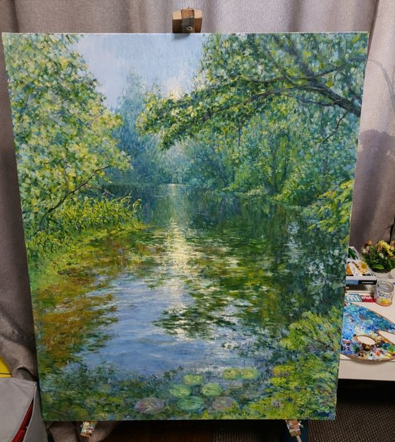 Where the Light settles