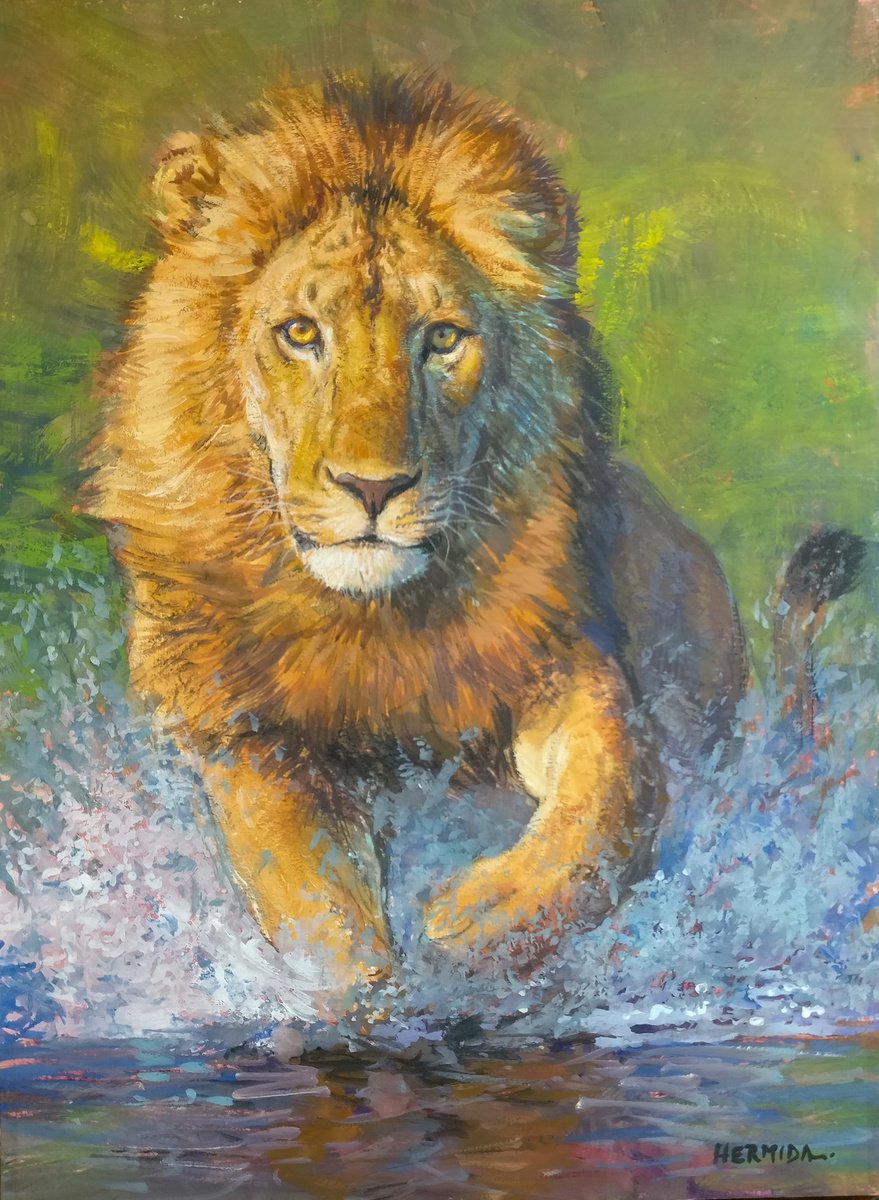 Running lion by Gabriel Hermida