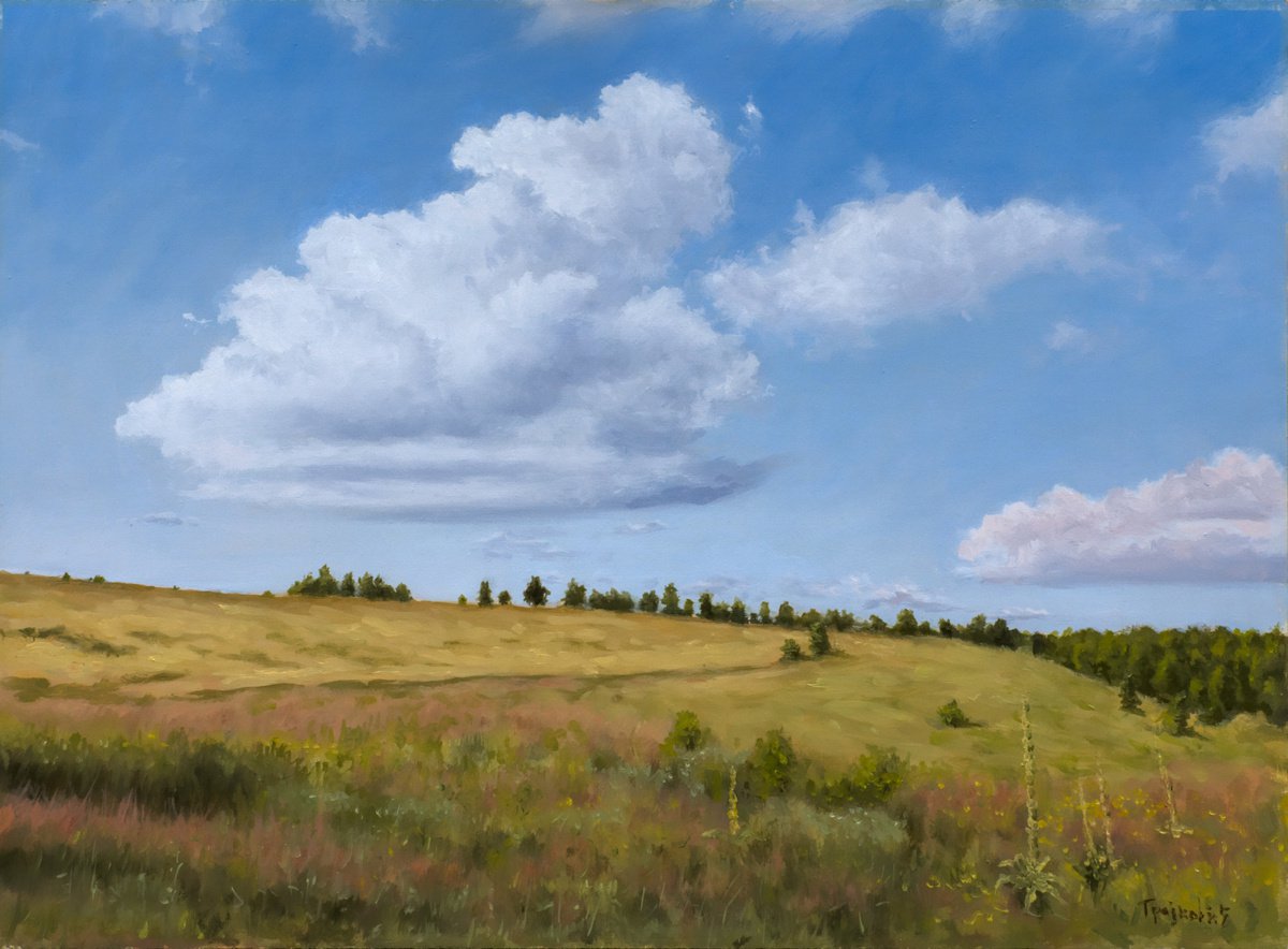 Cloud and Meadow by Dejan Trajkovic