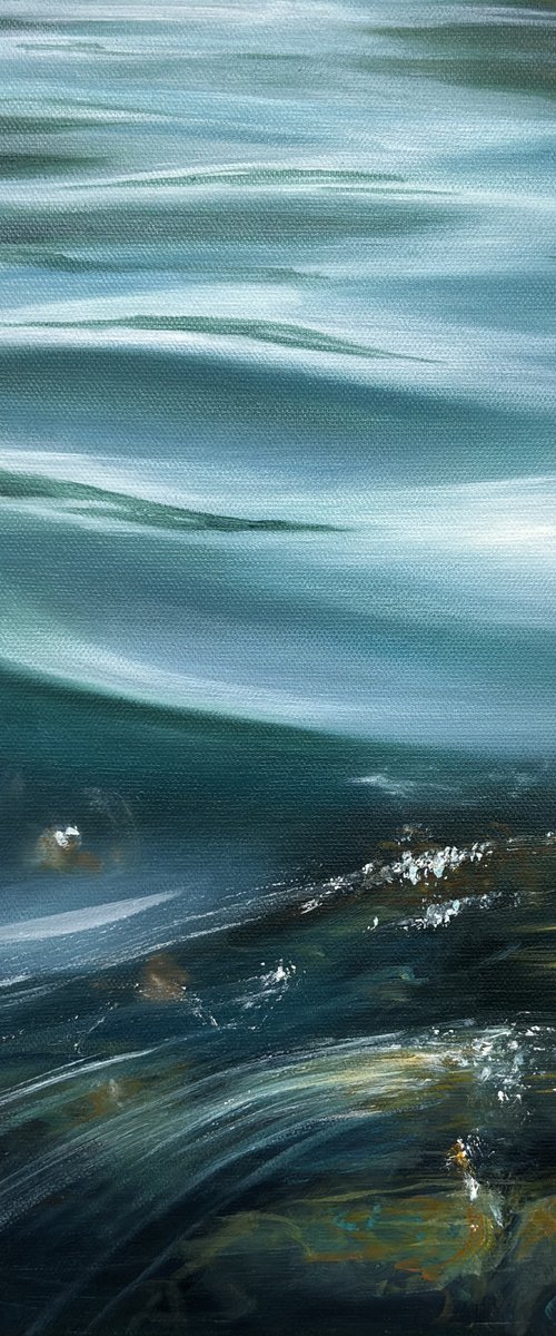 “Harmony” by Alena Panchishin