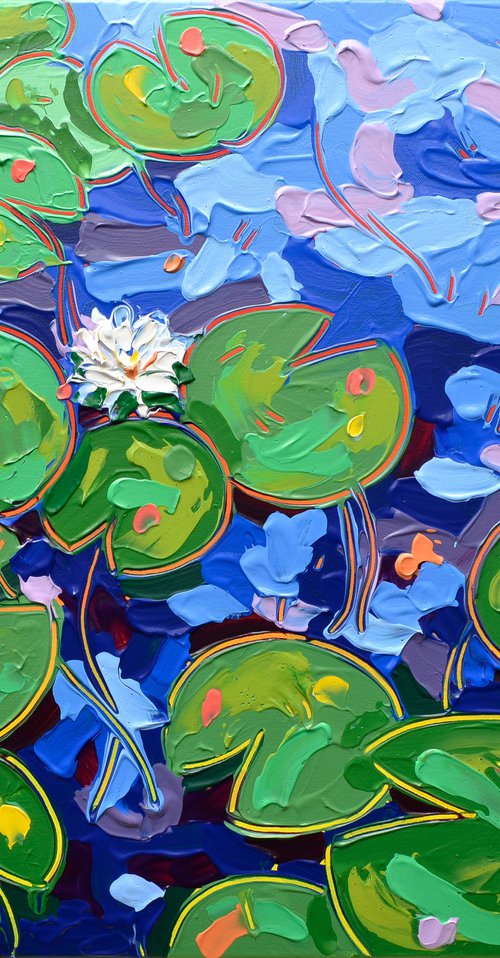 Tasman Lily Pond 30 by Joseph Villanueva