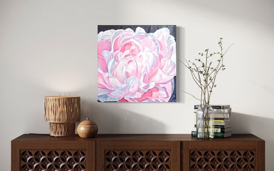 Pink peony