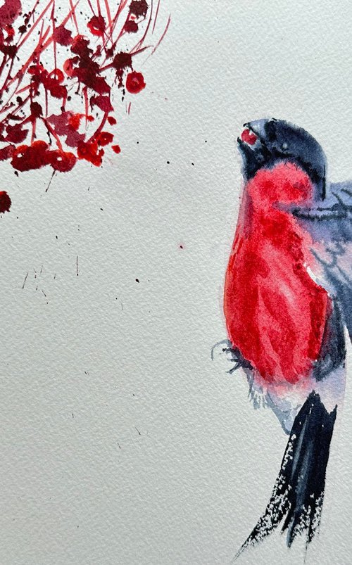 Bullfinch by Alla Semenova