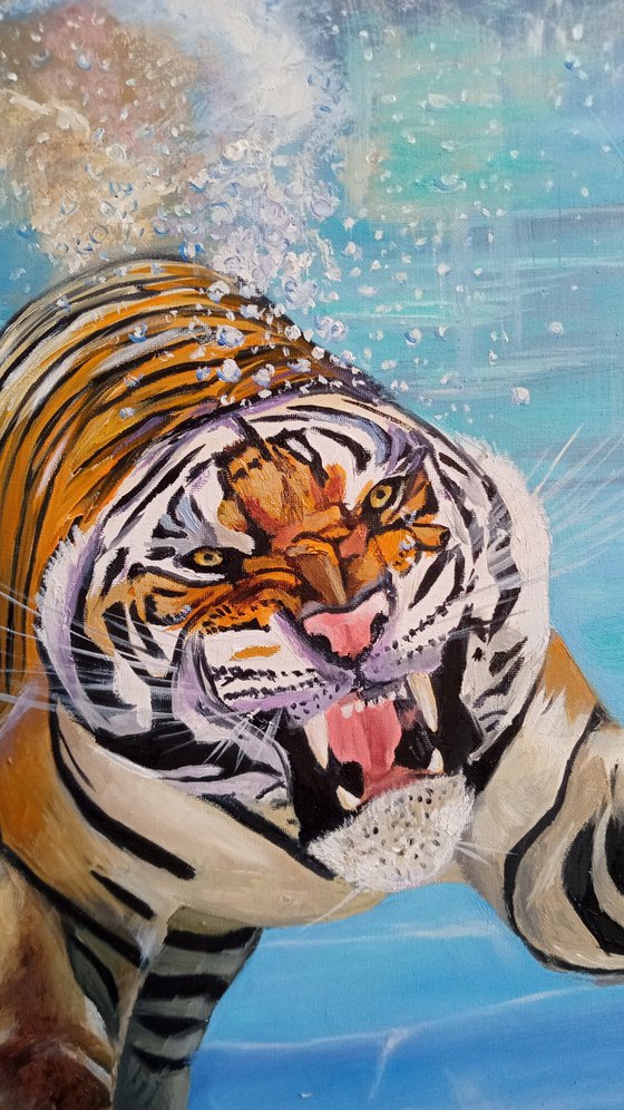 Splash of the Tiger