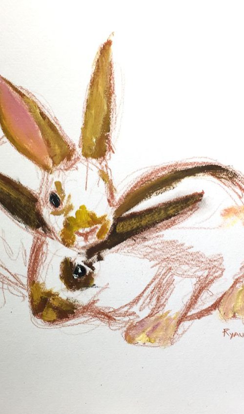 Rabbit by Ryan Louder