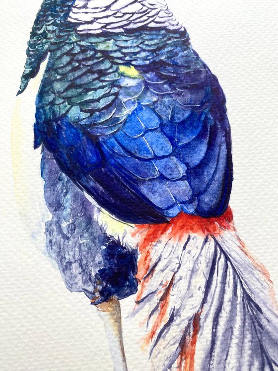 Set of three pheasant