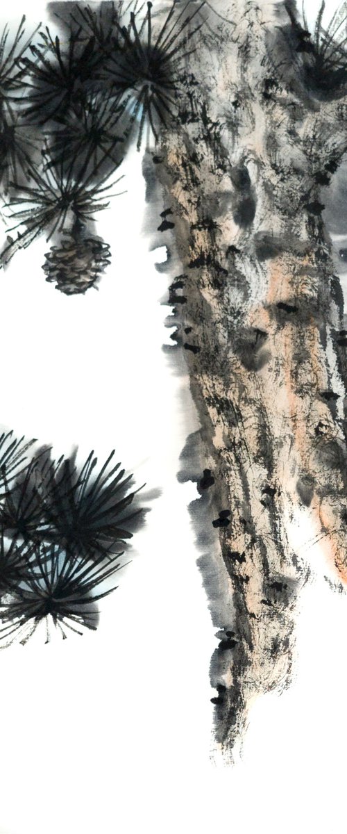 Pine with cone by Ilana Shechter