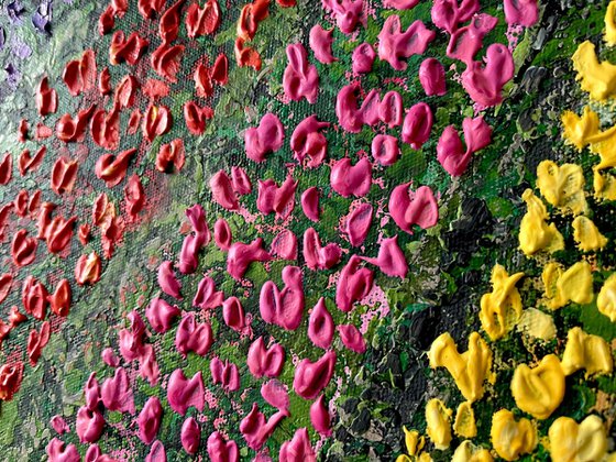 Rainbow Harvest - Tulip fields of Lisse