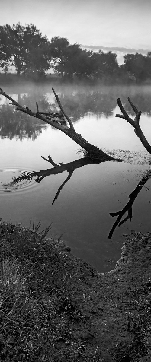 Over the quiet river. Circles on the water. BW by Valerix