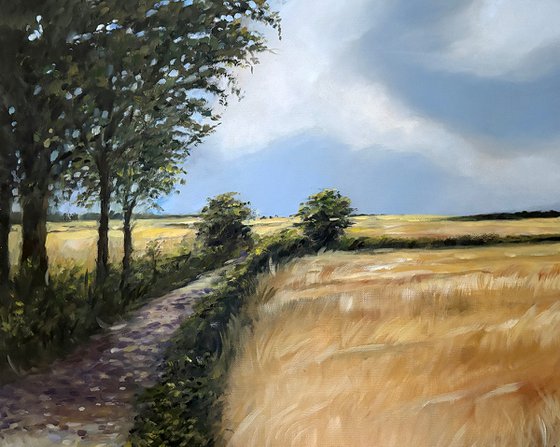 Hampshire Countryside