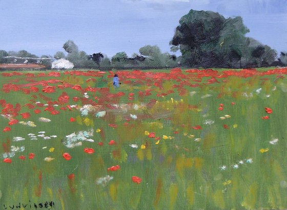 Poppies Near York