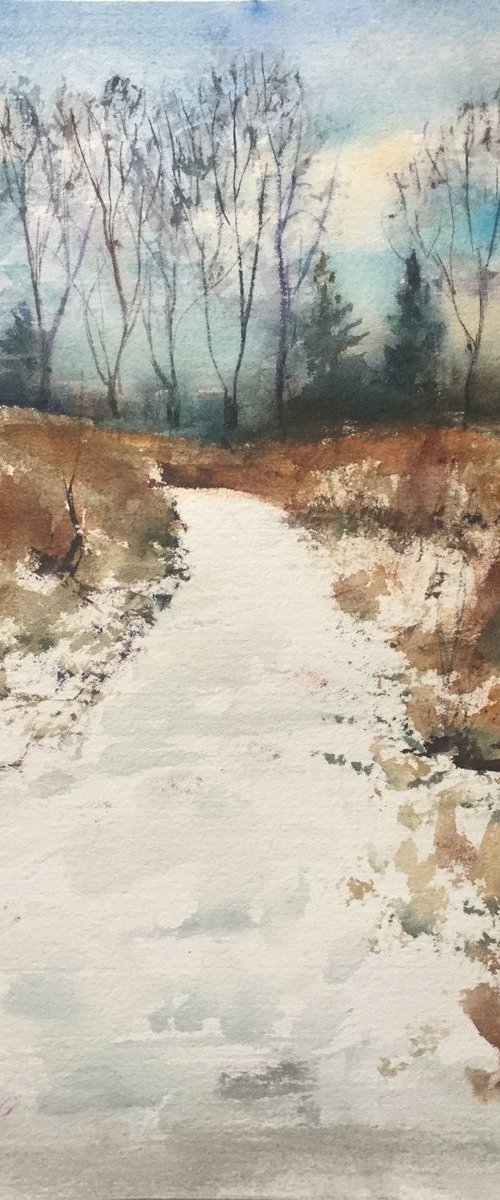 Winter in Sablino. 2019 #4 by Irina Bibik-Chkolian