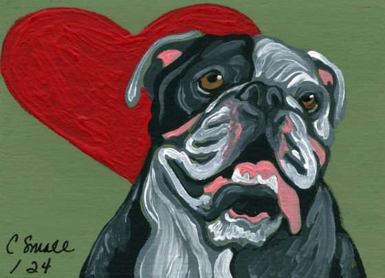 Olde English Bulldogge Valentine-Carla Smale