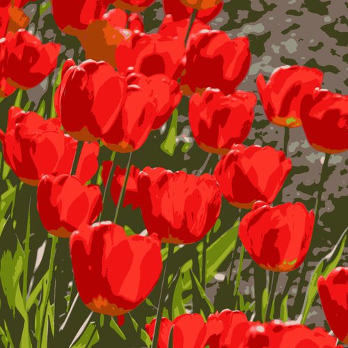 Red Tulips by Keith Dodd