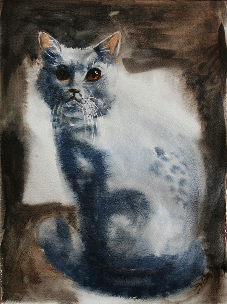 Blue Cat by Salana Art Gallery