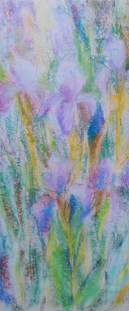 Irises. Original pastel drawing. 50x65 cm by Elena Klyan