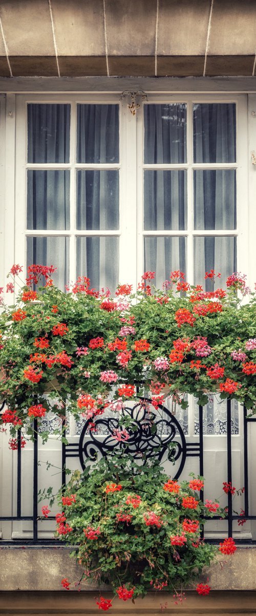 Paris window by Vlad Durniev