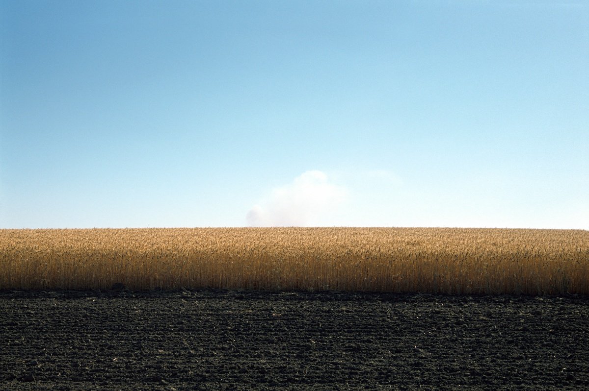 Field #18 by James Cooper Images