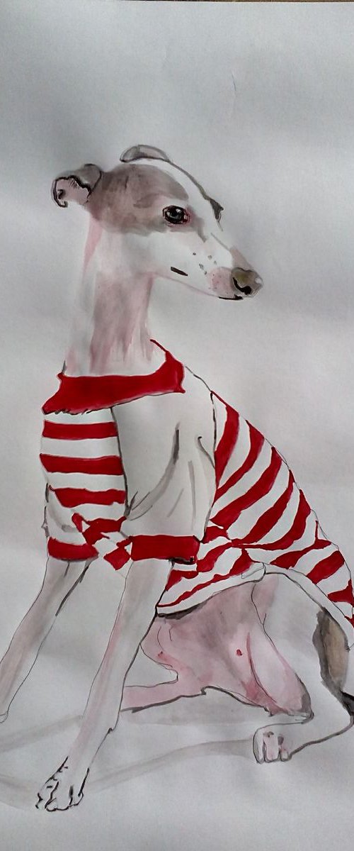 Whippet by Soso Kumsiashvili