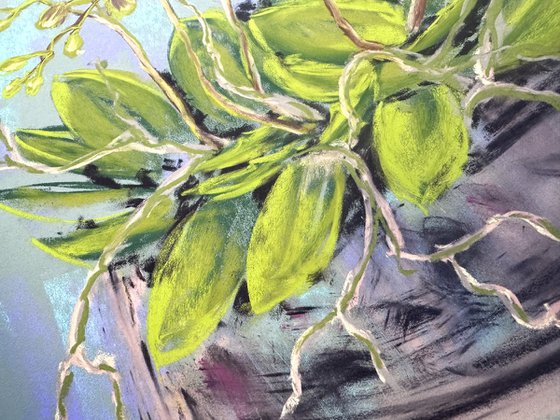 Set of 2 Pastel Wild orchids
