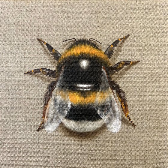 “Impermanent life”, work #24 Bumblebee